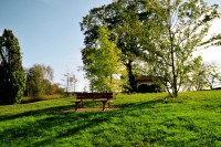 /album/nature/a0021970-copie-jpg/